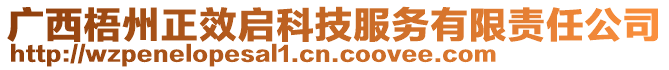 廣西梧州正效啟科技服務(wù)有限責(zé)任公司