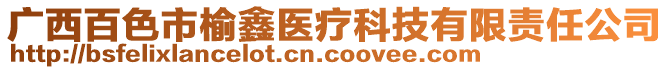 廣西百色市榆鑫醫(yī)療科技有限責(zé)任公司