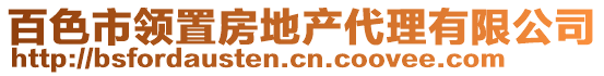 百色市領(lǐng)置房地產(chǎn)代理有限公司