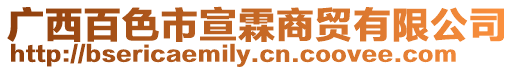 廣西百色市宣霖商貿有限公司