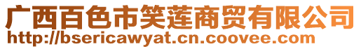 廣西百色市笑蓮商貿有限公司