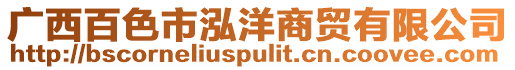 廣西百色市泓洋商貿有限公司