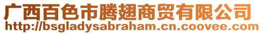 廣西百色市騰翅商貿有限公司