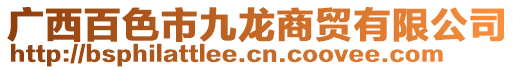 廣西百色市九龍商貿有限公司