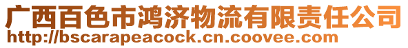 廣西百色市鴻濟物流有限責任公司