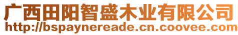 廣西田陽智盛木業(yè)有限公司