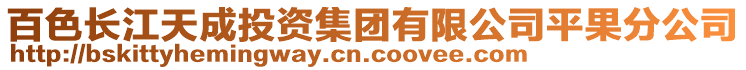 百色長(zhǎng)江天成投資集團(tuán)有限公司平果分公司
