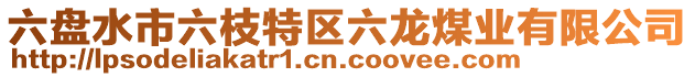 六盤水市六枝特區六龍煤業有限公司