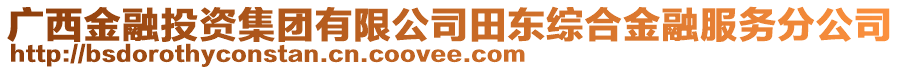 廣西金融投資集團(tuán)有限公司田東綜合金融服務(wù)分公司