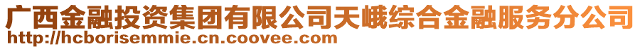 廣西金融投資集團(tuán)有限公司天峨綜合金融服務(wù)分公司