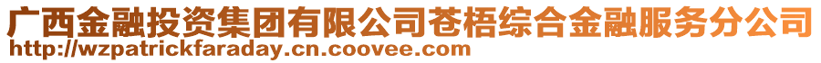 广西金融投资集团有限公司苍梧综合金融服务分公司