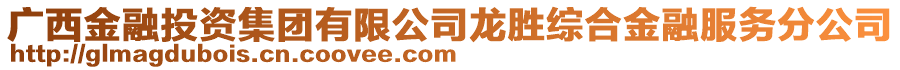 廣西金融投資集團(tuán)有限公司龍勝綜合金融服務(wù)分公司