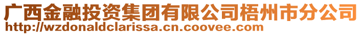 广西金融投资集团有限公司梧州市分公司