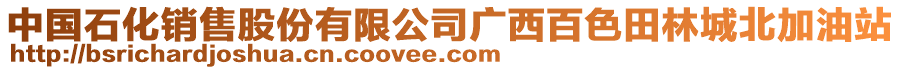 中國石化銷售股份有限公司廣西百色田林城北加油站