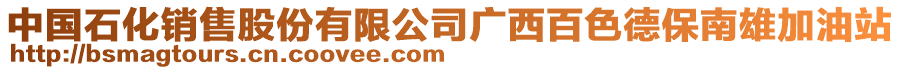 中国石化销售股份有限公司广西百色德保南雄加油站