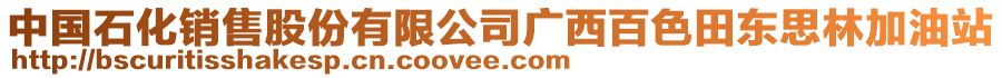 中國石化銷售股份有限公司廣西百色田東思林加油站