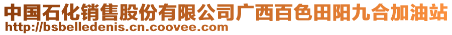 中国石化销售股份有限公司广西百色田阳九合加油站