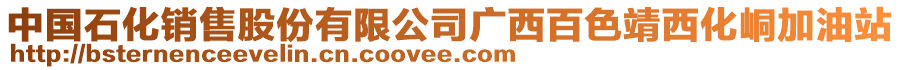 中国石化销售股份有限公司广西百色靖西化峒加油站