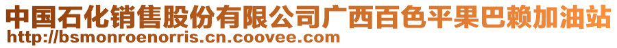 中國(guó)石化銷售股份有限公司廣西百色平果巴賴加油站