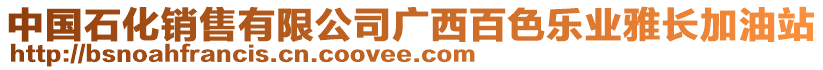 中國石化銷售有限公司廣西百色樂業(yè)雅長加油站