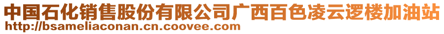 中國(guó)石化銷售股份有限公司廣西百色凌云邏樓加油站