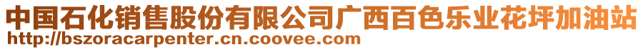 中國石化銷售股份有限公司廣西百色樂業(yè)花坪加油站