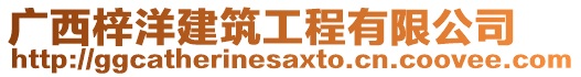 廣西梓洋建筑工程有限公司