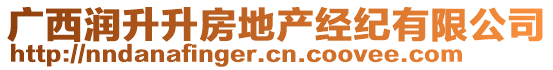 廣西潤(rùn)升升房地產(chǎn)經(jīng)紀(jì)有限公司