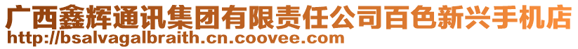 廣西鑫輝通訊集團(tuán)有限責(zé)任公司百色新興手機(jī)店