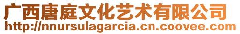 廣西唐庭文化藝術(shù)有限公司