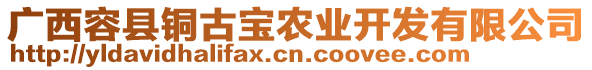 廣西容縣銅古寶農(nóng)業(yè)開(kāi)發(fā)有限公司