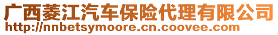 廣西菱江汽車保險(xiǎn)代理有限公司