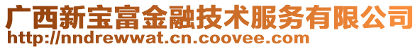 廣西新寶富金融技術(shù)服務(wù)有限公司