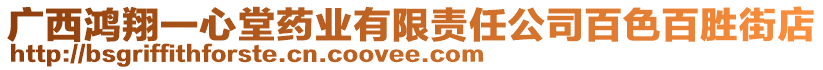 廣西鴻翔一心堂藥業(yè)有限責(zé)任公司百色百勝街店