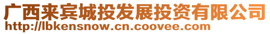 廣西來(lái)賓城投發(fā)展投資有限公司