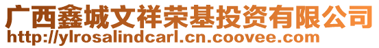 廣西鑫城文祥榮基投資有限公司