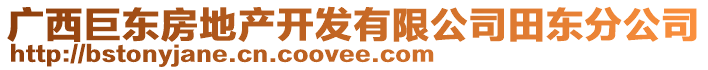 廣西巨東房地產(chǎn)開發(fā)有限公司田東分公司