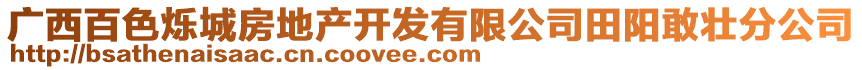 广西百色烁城房地产开发有限公司田阳敢壮分公司