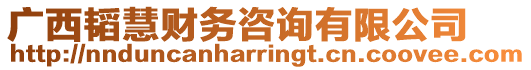 廣西韜慧財(cái)務(wù)咨詢有限公司