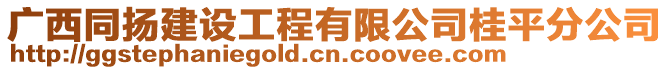 廣西同揚建設工程有限公司桂平分公司