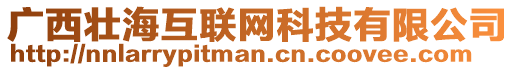 廣西壯海互聯(lián)網(wǎng)科技有限公司