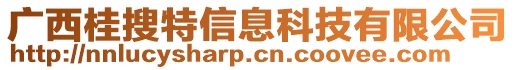 廣西桂搜特信息科技有限公司