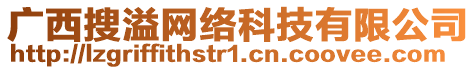 廣西搜溢網(wǎng)絡(luò)科技有限公司