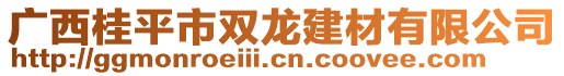 廣西桂平市雙龍建材有限公司