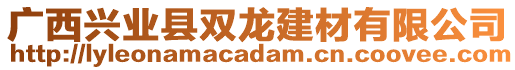 广西兴业县双龙建材有限公司