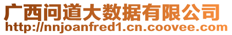 廣西問(wèn)道大數(shù)據(jù)有限公司