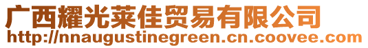 廣西耀光萊佳貿(mào)易有限公司