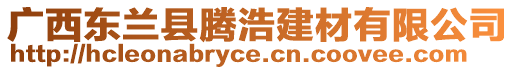 廣西東蘭縣騰浩建材有限公司