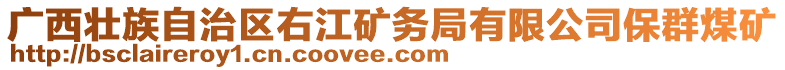 廣西壯族自治區(qū)右江礦務(wù)局有限公司保群煤礦