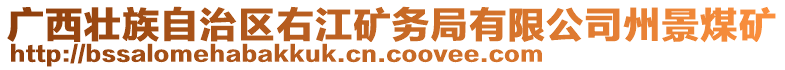 廣西壯族自治區(qū)右江礦務(wù)局有限公司州景煤礦